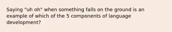 Saying "uh oh" when something falls on the ground is an example of which of the 5 components of language development?