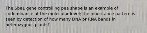 The Sbe1 gene controlling pea shape is an example of codominance at the molecular level; the inheritance pattern is seen by detection of how many DNA or RNA bands in heterozygous plants?