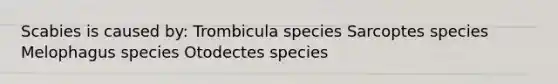 Scabies is caused by: Trombicula species Sarcoptes species Melophagus species Otodectes species