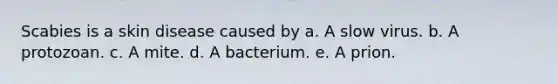 Scabies is a skin disease caused by a. A slow virus. b. A protozoan. c. A mite. d. A bacterium. e. A prion.