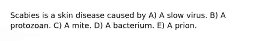 Scabies is a skin disease caused by A) A slow virus. B) A protozoan. C) A mite. D) A bacterium. E) A prion.