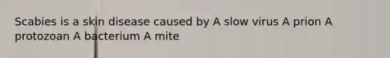 Scabies is a skin disease caused by A slow virus A prion A protozoan A bacterium A mite