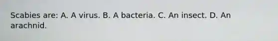 Scabies are: A. A virus. B. A bacteria. C. An insect. D. An arachnid.