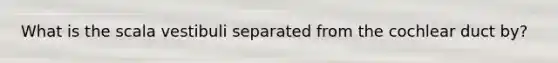 What is the scala vestibuli separated from the cochlear duct by?