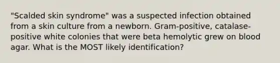 "Scalded skin syndrome" was a suspected infection obtained from a skin culture from a newborn. Gram-positive, catalase-positive white colonies that were beta hemolytic grew on blood agar. What is the MOST likely identification?