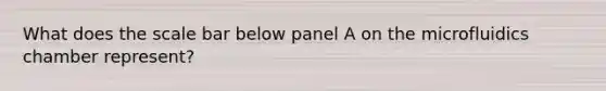 What does the scale bar below panel A on the microfluidics chamber represent?