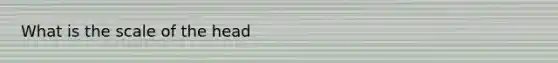 What is the scale of the head