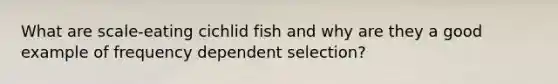 What are scale-eating cichlid fish and why are they a good example of frequency dependent selection?