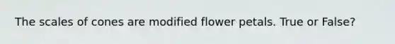 The scales of cones are modified flower petals. True or False?