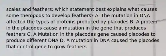 scales and feathers: which statement best explains what causes some theropods to develop feathers? A. The mutation in DNA affected the types of proteins produced by placodes B. A protein in the placodes cause a mutation in the gene that produces feathers C. A Mutation in the placodes gene caused placodes to produce different DNA D. A mutation in DNA caused the placodes that control gene to grow feathers