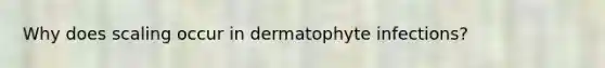 Why does scaling occur in dermatophyte infections?