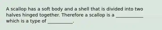 A scallop has a soft body and a shell that is divided into two halves hinged together. Therefore a scallop is a ____________ which is a type of ___________.