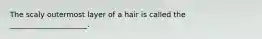 The scaly outermost layer of a hair is called the _____________________.