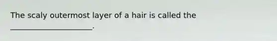 The scaly outermost layer of a hair is called the _____________________.