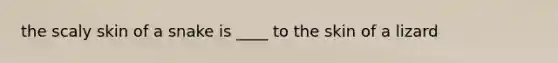 the scaly skin of a snake is ____ to the skin of a lizard