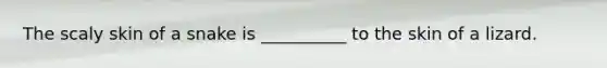 The scaly skin of a snake is __________ to the skin of a lizard.