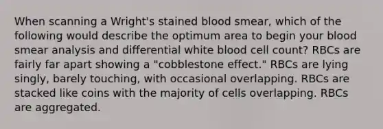 When scanning a Wright's stained blood smear, which of the following would describe the optimum area to begin your blood smear analysis and differential white blood cell count? RBCs are fairly far apart showing a "cobblestone effect." RBCs are lying singly, barely touching, with occasional overlapping. RBCs are stacked like coins with the majority of cells overlapping. RBCs are aggregated.