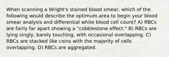 When scanning a Wright's stained blood smear, which of the following would describe the optimum area to begin your blood smear analysis and differential white blood cell count? A) RBCs are fairly far apart showing a "cobblestone effect." B) RBCs are lying singly, barely touching, with occasional overlapping. C) RBCs are stacked like coins with the majority of cells overlapping. D) RBCs are aggregated.