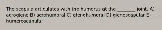 The scapula articulates with the humerus at the ________ joint. A) acrogleno B) acrohumoral C) glenohumoral D) glenoscapular E) humeroscapular