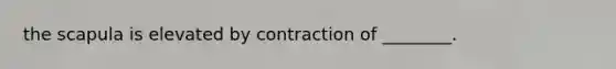 the scapula is elevated by contraction of ________.