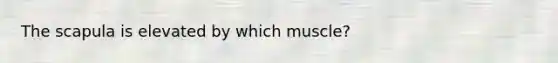 The scapula is elevated by which muscle?