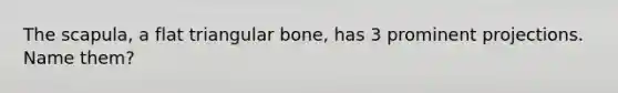 The scapula, a flat triangular bone, has 3 prominent projections. Name them?