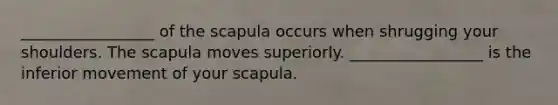 _________________ of the scapula occurs when shrugging your shoulders. The scapula moves superiorly. _________________ is the inferior movement of your scapula.