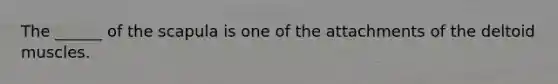The ______ of the scapula is one of the attachments of the deltoid muscles.