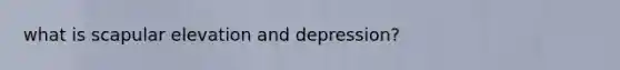 what is scapular elevation and depression?