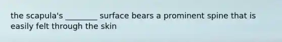 the scapula's ________ surface bears a prominent spine that is easily felt through the skin