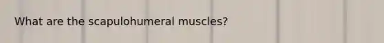 What are the scapulohumeral muscles?