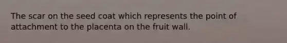 The scar on the seed coat which represents the point of attachment to the placenta on the fruit wall.