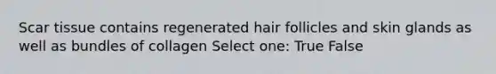 Scar tissue contains regenerated hair follicles and skin glands as well as bundles of collagen Select one: True False