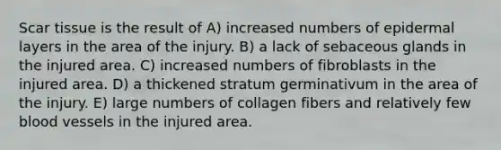 Scar tissue is the result of A) increased numbers of epidermal layers in the area of the injury. B) a lack of sebaceous glands in the injured area. C) increased numbers of fibroblasts in the injured area. D) a thickened stratum germinativum in the area of the injury. E) large numbers of collagen fibers and relatively few blood vessels in the injured area.