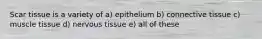 Scar tissue is a variety of a) epithelium b) connective tissue c) muscle tissue d) nervous tissue e) all of these