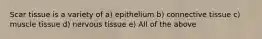 Scar tissue is a variety of a) epithelium b) connective tissue c) muscle tissue d) nervous tissue e) All of the above
