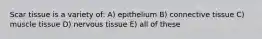 Scar tissue is a variety of: A) epithelium B) connective tissue C) muscle tissue D) nervous tissue E) all of these