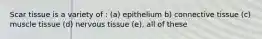 Scar tissue is a variety of : (a) epithelium b) connective tissue (c) muscle tissue (d) nervous tissue (e), all of these