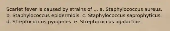 Scarlet fever is caused by strains of ... a. Staphylococcus aureus. b. Staphylococcus epidermidis. c. Staphylococcus saprophyticus. d. Streptococcus pyogenes. e. Streptococcus agalactiae.