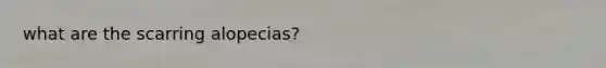 what are the scarring alopecias?