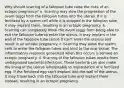 Why should scarring of a fallopian tube raise the risks of an ectopic pregnancy? a. Scarring may slow the progression of the ovum (egg) from the fallopian tubes into the uterus. If it is fertilized by a sperm cell while it is stopped in the fallopian tube, it may implant there, resulting in an ectopic pregnancy. b. Scarring can completely block the ovum (egg) from being able to exit the fallopian tube to enter the uterus. It may implant in the wall of the fallopian tube (since it can't enter the uterus) and result in an ectopic pregnancy. c. Scarring may allow the sperm cells to enter the fallopian tubes and bind to the scar tissue. The inflammatory response generated when this occurs is termed an ectopic pregnancy. d. Scarring of the fallopian tubes results from undiagnosed bacterial infections. These bacteria can also make the lining of the uterus inhospitable to implantation of a fertilized egg. If the fertilized egg can't implant into the wall of the uterus, it may travel back into the fallopian tube and implant there instead, resulting in an ectopic pregnancy.