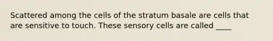 Scattered among the cells of the stratum basale are cells that are sensitive to touch. These sensory cells are called ____