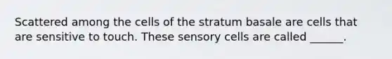 Scattered among the cells of the stratum basale are cells that are sensitive to touch. These sensory cells are called ______.