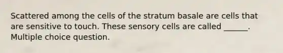 Scattered among the cells of the stratum basale are cells that are sensitive to touch. These sensory cells are called ______. Multiple choice question.