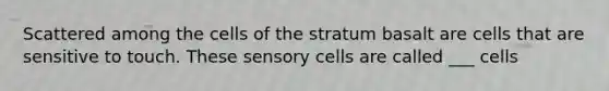 Scattered among the cells of the stratum basalt are cells that are sensitive to touch. These sensory cells are called ___ cells