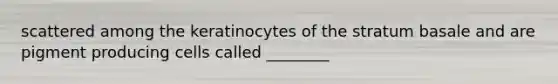 scattered among the keratinocytes of the stratum basale and are pigment producing cells called ________