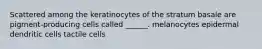 Scattered among the keratinocytes of the stratum basale are pigment-producing cells called ______. melanocytes epidermal dendritic cells tactile cells