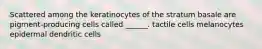 Scattered among the keratinocytes of the stratum basale are pigment-producing cells called ______. tactile cells melanocytes epidermal dendritic cells