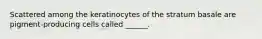 Scattered among the keratinocytes of the stratum basale are pigment-producing cells called ______.