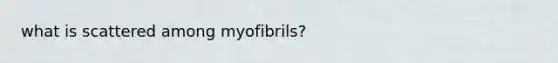 what is scattered among myofibrils?